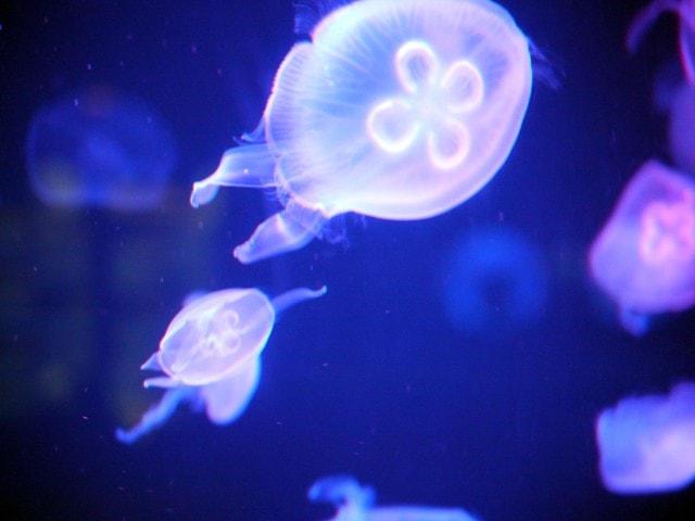 20250228-3w1of