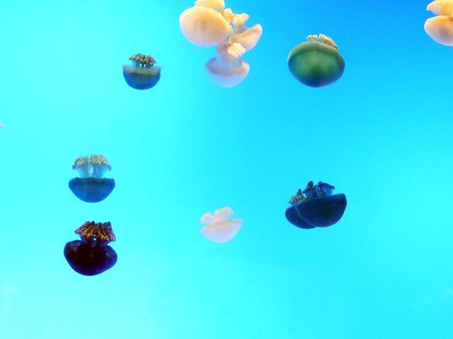 20250228-bbsb0