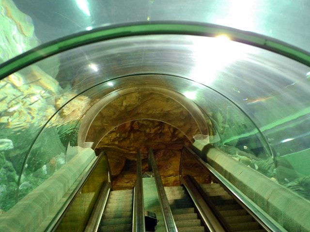 20250228-hcluv