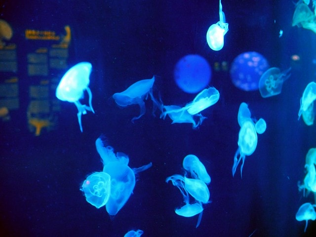 20250228-qokam