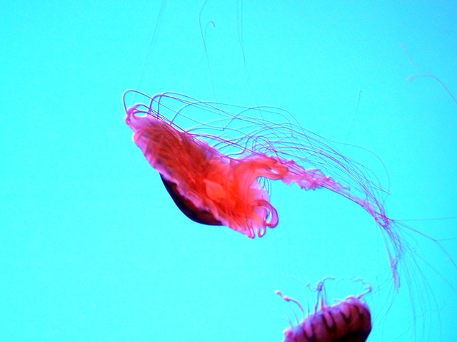 20250228-s7cm2