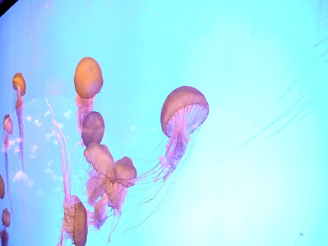20250228-wdk9a