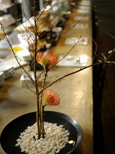 20250228-xbpyi