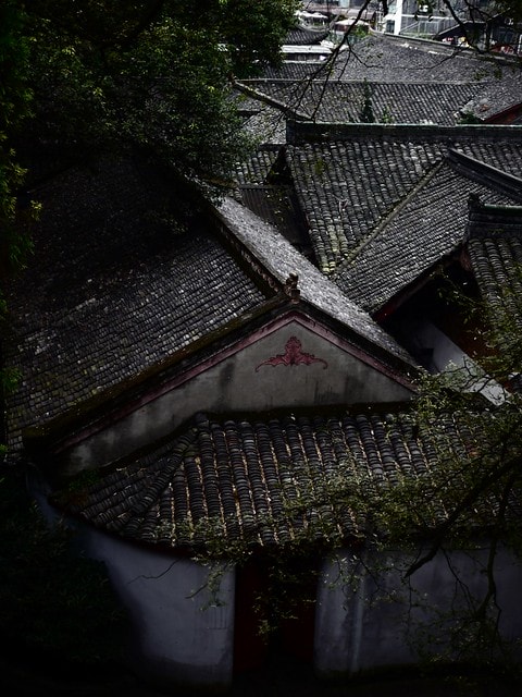 20250228-wiyn1