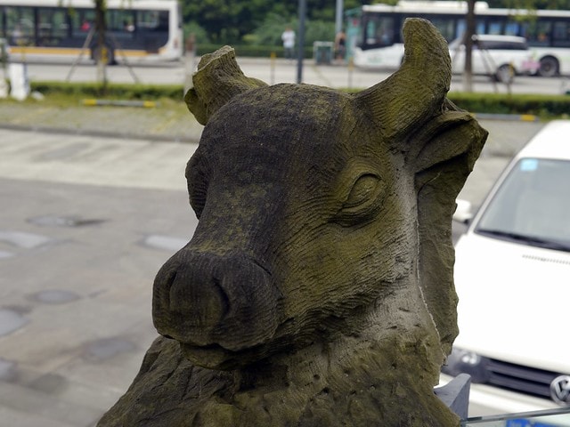 20250228-yzrq2