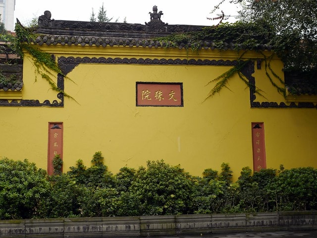 20250228-yzx40