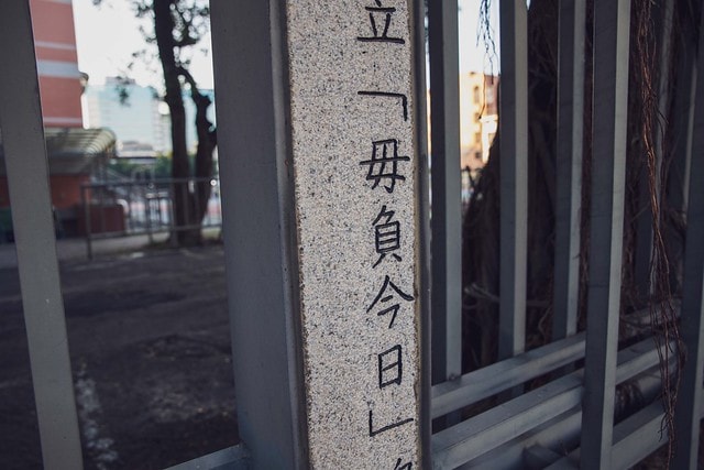 20250228-piqc8