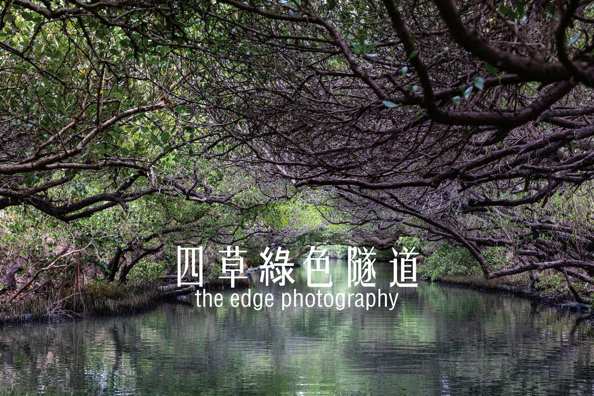 未命名 2