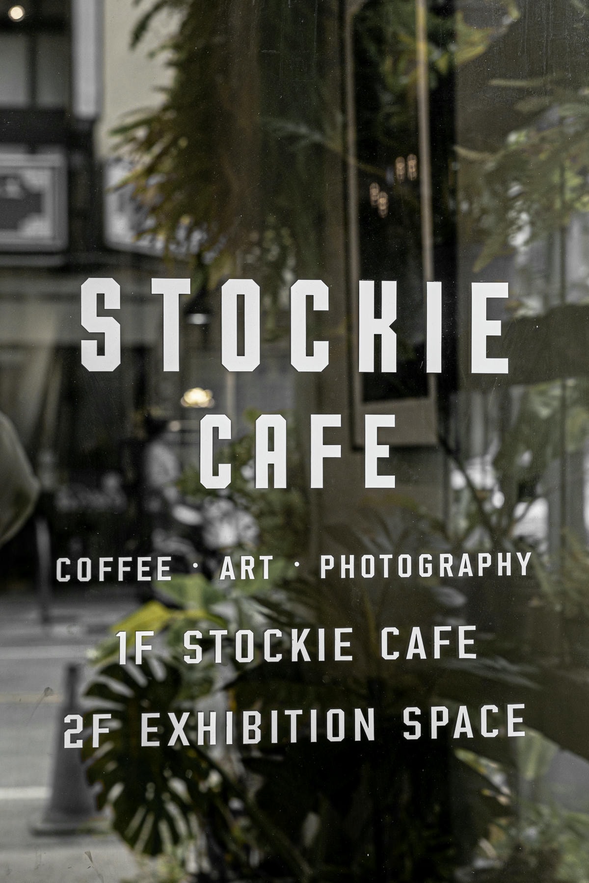 Stockie 10