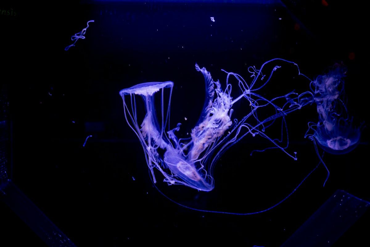 20250228-y6i99