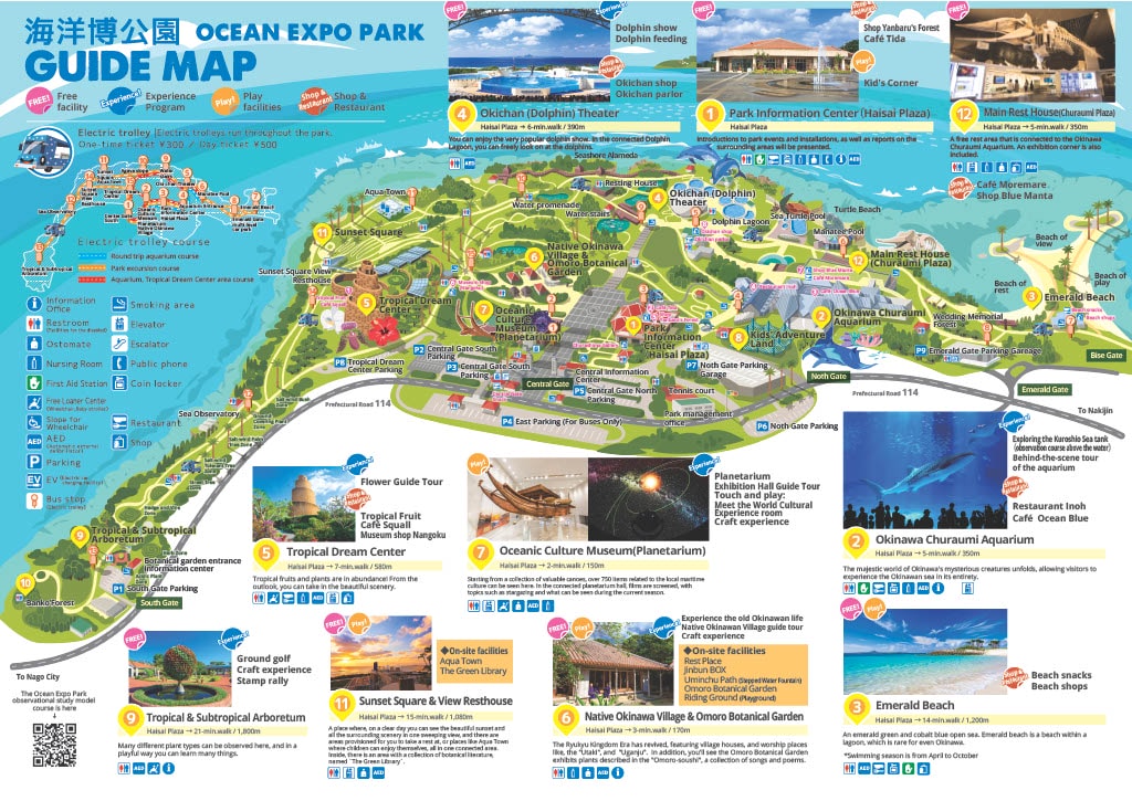 沖繩。海洋博公園.美麗海水族館 - 第2張圖 1749112933201 f61ec1f7 d460 47c0 90e5 b758f0210dde 2