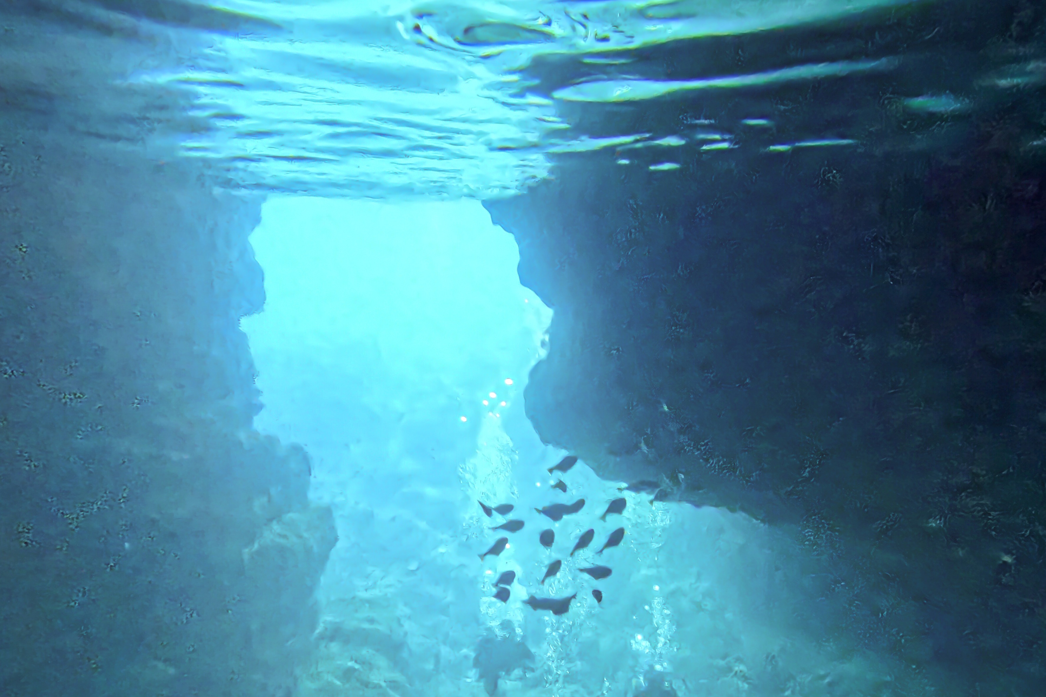 Dcim100goprogopr4862.jpg